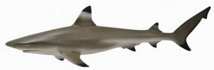 Фигурка Gulliver Collecta - Рифовая акула, размер M 